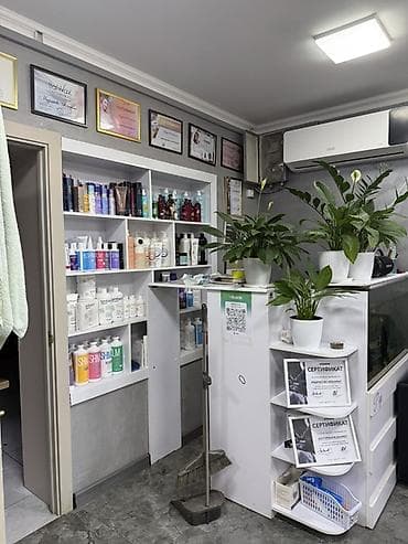 Коммерциялык кыймылсыз мүлктү сатуу: Продается готовый бизнес с хорошим ремонтом под салон красоты и — 8