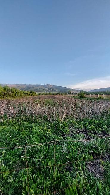 алатоу: 120 соток, Для сельского хозяйства, Договор купли-продажи — 5