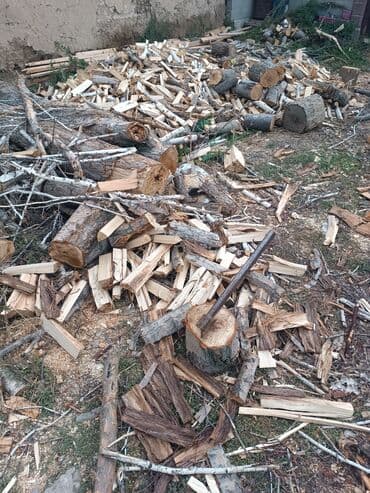 сколько стоит кубометр дров: Жалбырактуу бактар — 1