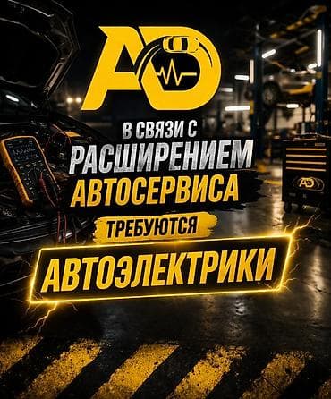 связи с: Требуется Автоэлектрик, Оплата: Ежемесячно, Процент от дохода, 1-2 года опыта, Обучение — 1