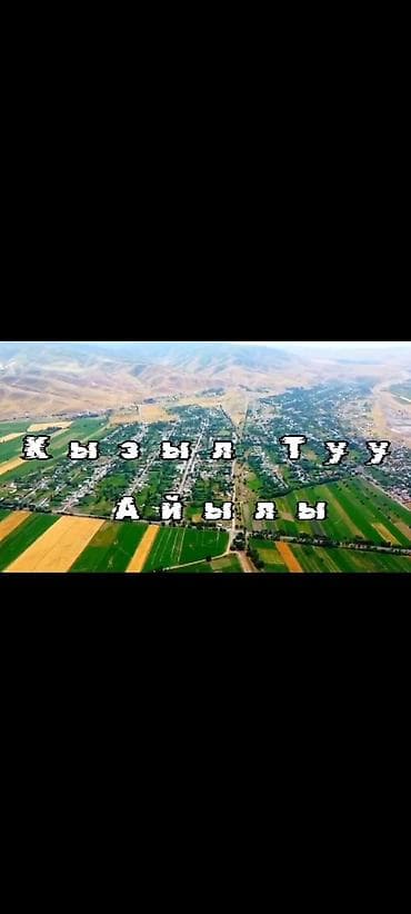 выход к реке: 5 соток, Для бизнеса, Красная книга — 7