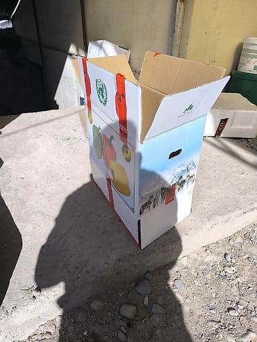 коробка для фруктов: Ящик — 9