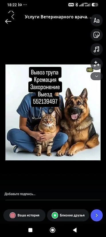 Ветеринарные ритуальные услуги для домашних животных. - Вывоз тела — 1