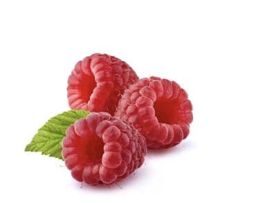 продам шиповник: Малина Самовывоз — 1