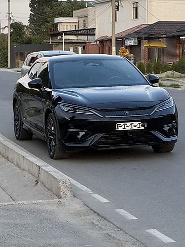 пылесос для машины: BYD Song L: 2024 г., Электромобиль, Кроссовер — 1