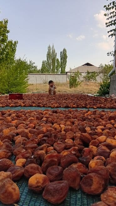 требуется кондитеры: Предлагается сушеный абрикос, выращенный в естественных условиях — 4