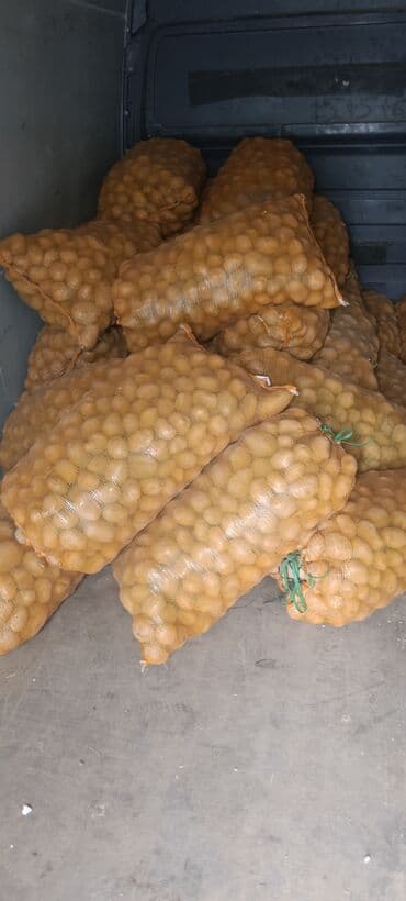 фисташковая паста цена бишкек: Картошка Оптом — 1