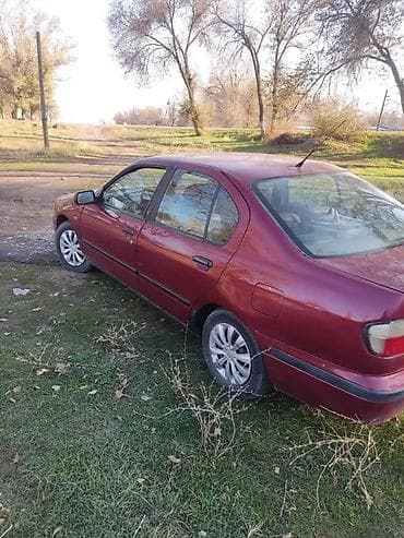 e6 3: Nissan Primera: 1997 г., 2 л, Ручные, Бензин, Седан — 3