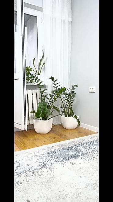 flat osh: 1 комната, 58 м², Азия Молл 104 серия, 3 этаж, Евроремонт — 4