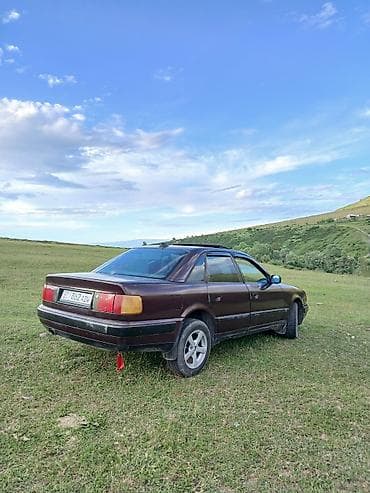amg r16: Audi 100: 1991 г., Механика, Бензин, Седан — 7