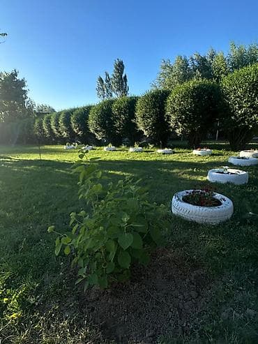 продажа дом шопоков: Дом, 36000 м², 6 комнат, Собственник, Старый ремонт — 1