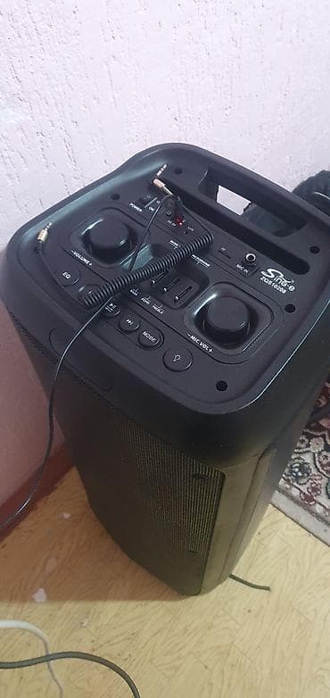 Портативная акустическая система Sing-e ZQS10208 - Формат: напольная — 2