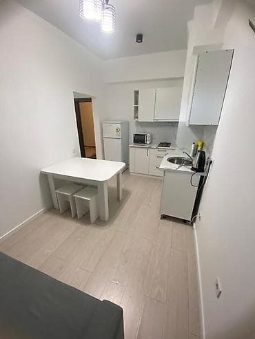 Батирлер: 1 бөлмө, 27 м², Жеке план, Жертөлө кабаты кабат, Евро оңдоо — 2