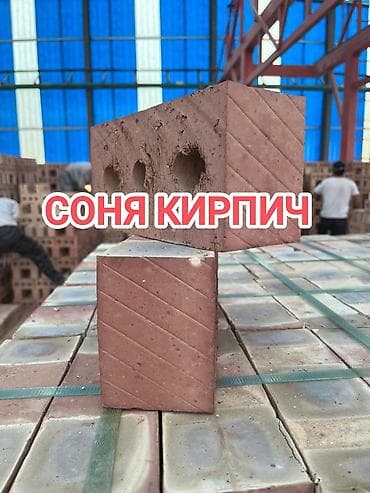 тушки бройлер: Пустотелый, дырчатый, Жженый кирпич, Полублок, 250×120×90 — 1
