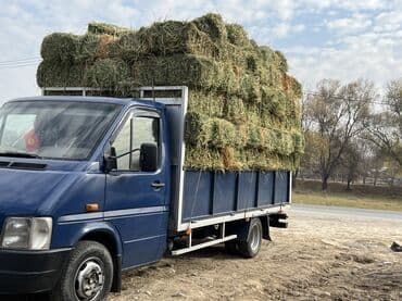 lexus 450d: Легкий грузовик, Mercedes-Benz, Стандарт, 3 т — 8