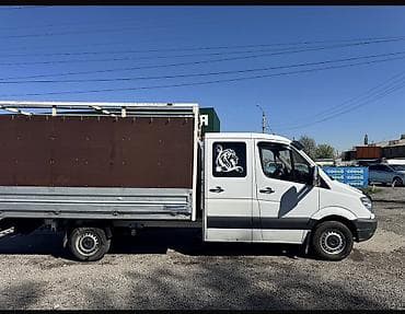 накладки для ног: Грузовик, Mercedes-Benz, Дубль — 4