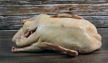 продажа домашних животных: Тушки уток — 1