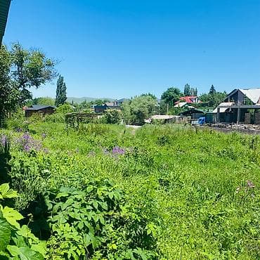 Кыймылсыз мүлк: 11 соток, Бизнес үчүн, Кызыл китеп — 5
