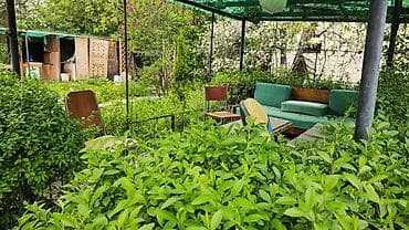 Үйлөрдү сатуу: Продаётся загородный дом с ухоженным зелёным участком и садом. - Дом — 6