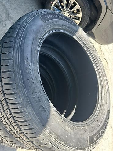 шишек: Шины 265 / 55 / R 20, Лето, Комплект, Внедорожные (АТ/МТ), DUNLOP — 2