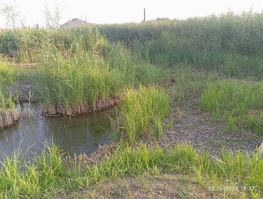 продаю долевую землю: 4 соток, Курулуш, Кызыл китеп, Сатып алуу-сатуу келишими — 8