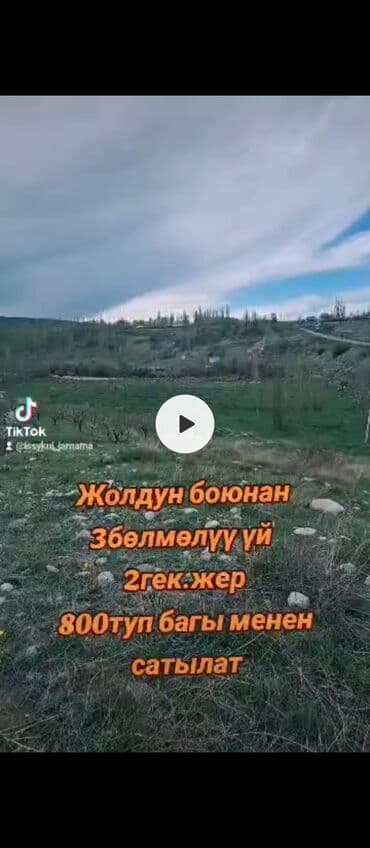 квартира бишкек аренда долгосрочно дизель: 2 соток, Для бизнеса, Красная книга — 1