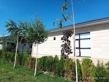 дачи на иссык куле: Коттедж, ASIAPALAC ЦО Карвен 4 сезона, Сары-Ой, Детская площадка, Парковка, стоянка, Охраняемая территория — 10