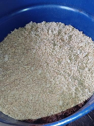 продам клубнику: Дроблёная лапша для скота(кукси,крошка лапши/лапшичная крошка) в — 2