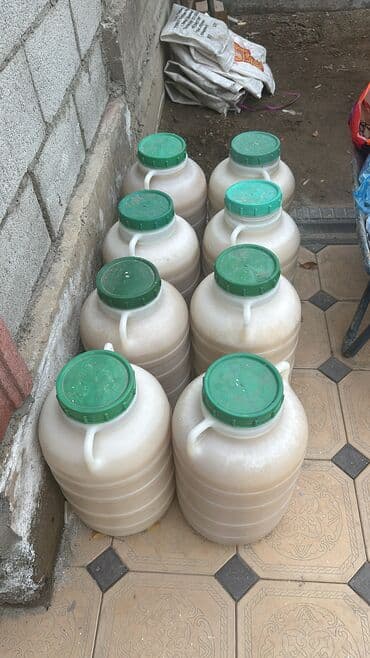 фарель ош: Токтогулский горный мёд — 2