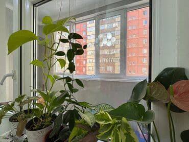 снять квартиру в джал 1 комнатную: 3 комнаты, 100 м², 2 этаж, Евроремонт — 12