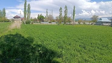 10 га: 7 соток, Для строительства — 1