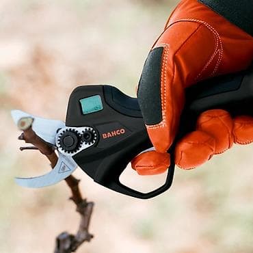 секатор цена бишкек: Другие садовые инструменты и инвентарь, Платная доставка — 2