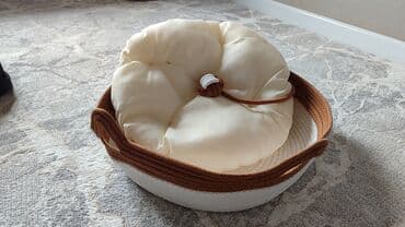 сколько стоит собака породы доберман: Лежак для кошек и собак +когтеточка. Прочный. Тепленький с — 2