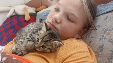 котенка в добрые руки: Отдам котят в добрые руки к лодку приучины,котята ищят дом добрые — 3