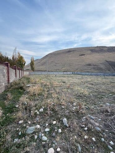 земли сельскохозяйственного назначения: 27 соток, Для бизнеса, Красная книга — 2