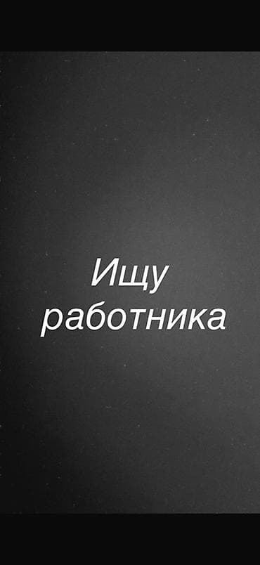 Вакансия: требуется работник

Описание задач:
По домашним делам