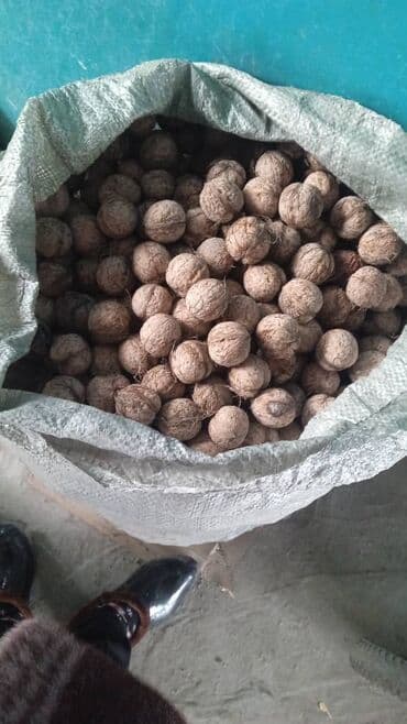 мебель в рассрочку в бишкеке: Грецкий орех в скорлупе - Натуральные грецкие орехи нового урожая в — 2