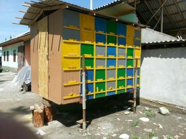 Павильон для пчелы.БЕЗ ПЧЕЛЫ и БЕЗ РАМКИ.Обмен на MАШИНУ/ АВТО / at lalafo.kg Павильон для пчелы.БЕЗ ПЧЕЛЫ и БЕЗ РАМКИ.Обмен на MАШИНУ/ АВТО /