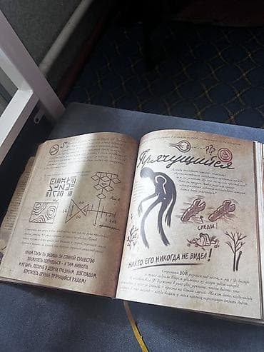 Книга «Гравити Фолз. Дневник 3» (русское издание Disney) Покупал за