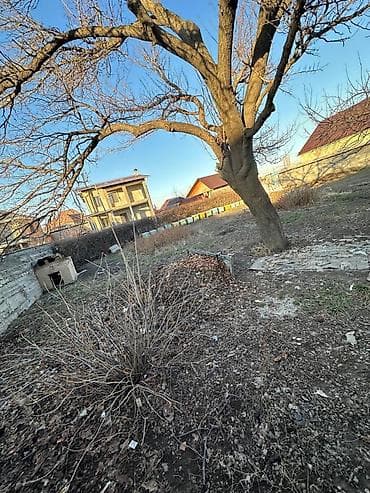 500 соток, Для строительства, Красная книга at lalafo.kg 500 соток, Для строительства, Красная книга