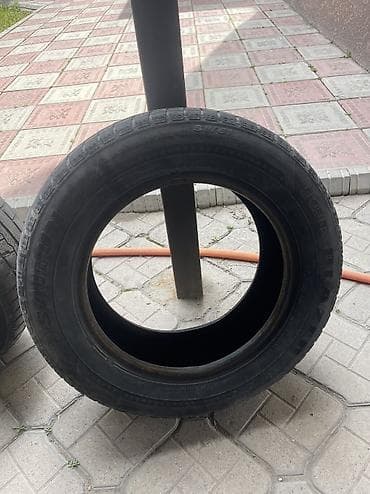 шины бу бишкек оптом: Продам 2 шины 195/65 R15, б/у. Состояние: изношены, протектор почти — 3