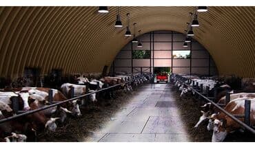 строители узбеки: 3-5 лет опыта — 4