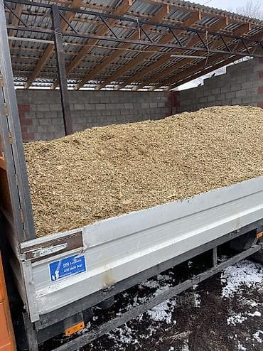 жалал абад ит: Продаются силос 7сом. с доставкой Силос сатылат 7 сом. жеткирүү жолу — 1