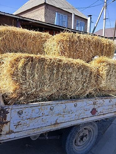 Солома в тюках - Пшеничная/ячменная солома, спрессованная в