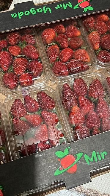 Фрукты: Клубника В розницу — 4