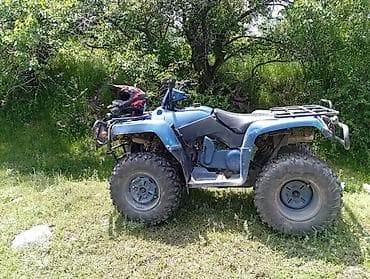 Квадроцикл Polaris, Бензин, 320 куб. см, Взрослый