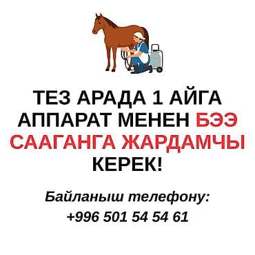 ищу работу кафе: Требуется Доярка, Оплата: Ежемесячно — 1