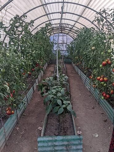 кочкор ата недвижимость: Продаётся дом на ИссыкКуле, село Ананьево из 4-х комнат. Имеется — 6