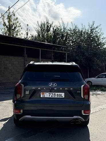 кия карнивал 2022: Hyundai Palisade: 2020 г., 2.2 л, Автомат, Дизель, Кроссовер — 6
