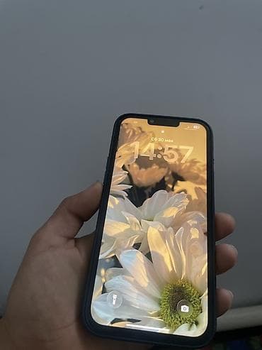 face id: IPhone 13 Pro Max, 128 ГБ, Голубой, Чехол, 79 % — 2